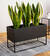 Ebern Designs Crishaun Rectangular Pedestal Plant Stand Wayfair Co Uk